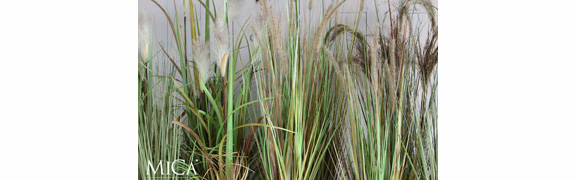 org:/banners product categories/accessories/artificial plants/banner-grassen-4.jpg